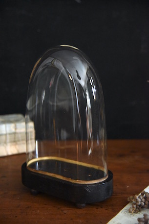 小ぶりで可愛いオーバルガラスドーム