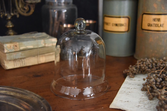 ベル型の小さなガラスドーム