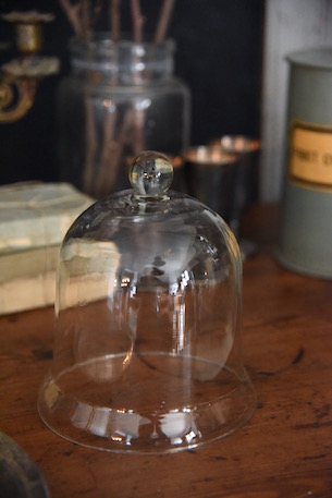 ベル型の小さなガラスドーム