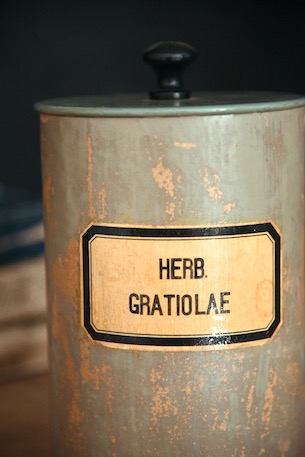アンティーク　木製　薬品ボトル　HERB.GRATIOLAE