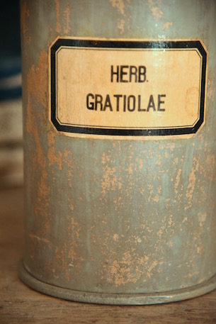 アンティーク　木製　薬品ボトル　HERB.GRATIOLAE
