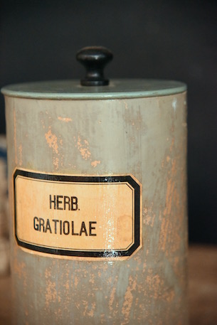 アンティーク　木製　薬品ボトル　HERB.GRATIOLAE